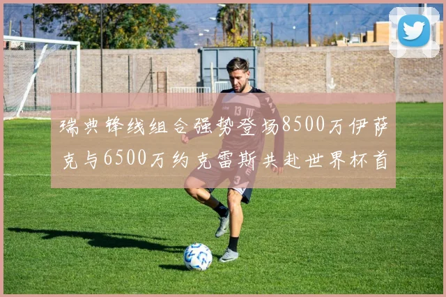 瑞典锋线组合强势登场8500万伊萨克与6500万约克雷斯共赴世界杯首秀